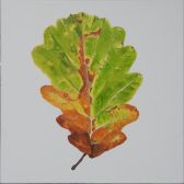 Late-Summer-Leaf.jpg